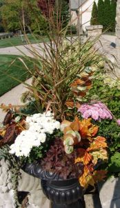 Artificial stems of eucalyptus, sedum, dried pods and oak leaves supplement the live fall plantings.